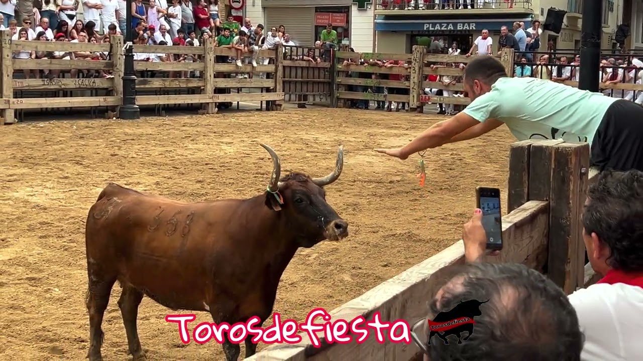 Ablitas lunes ganadería Arriazu
