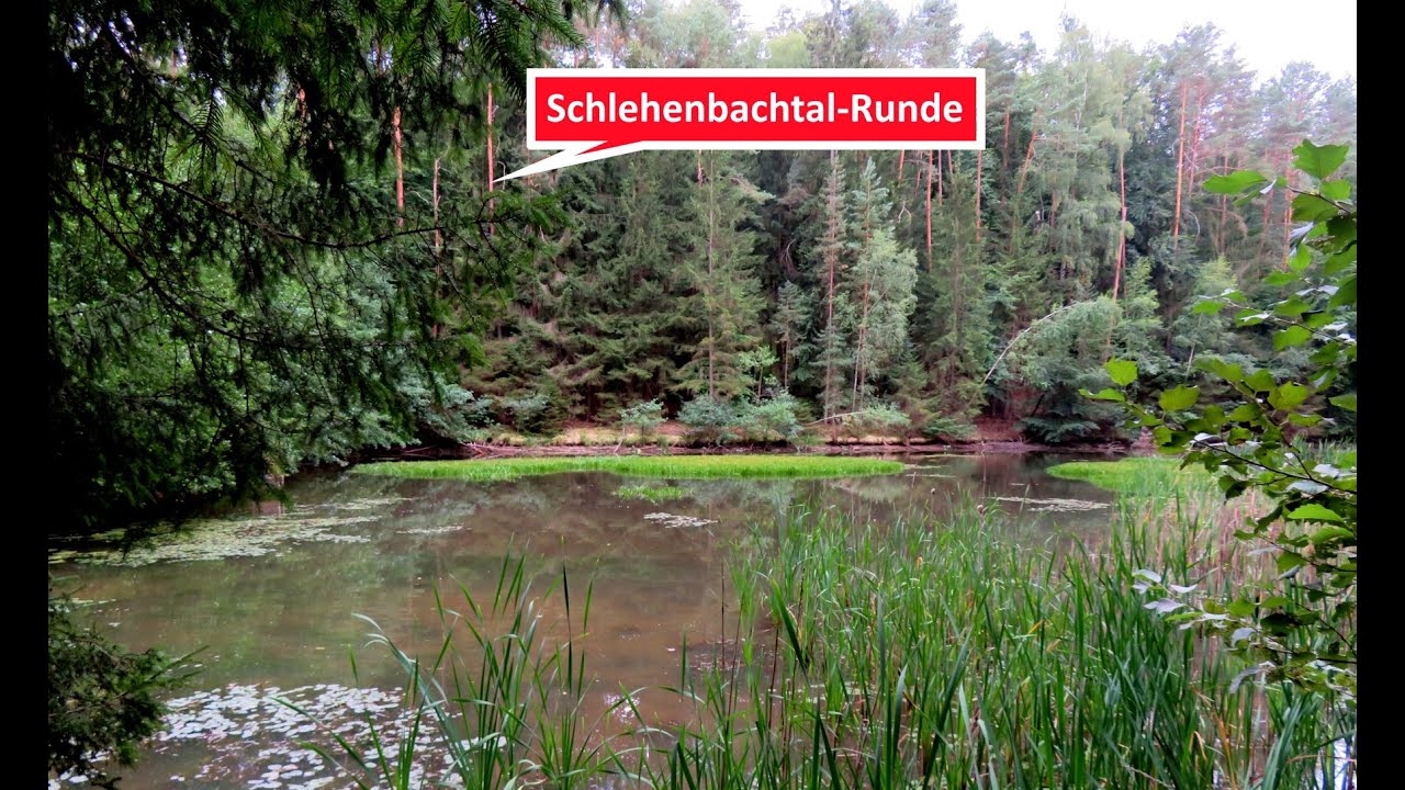 Wanderung und Jogging: Waldrunde in Forchheims W&auml;ldern am 31.08.22 im Schlehenbachtal