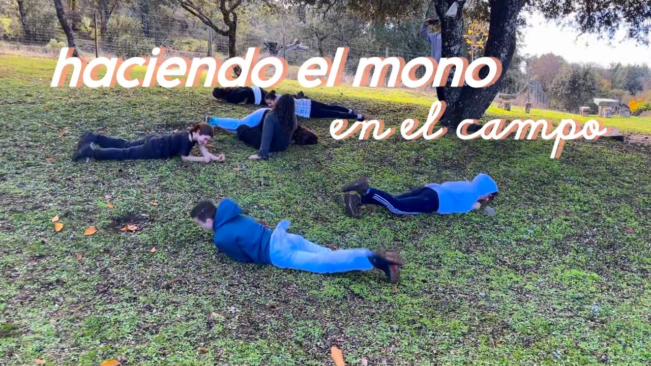 Esto es lo que pasa cuando nos sacan una mañana de clase