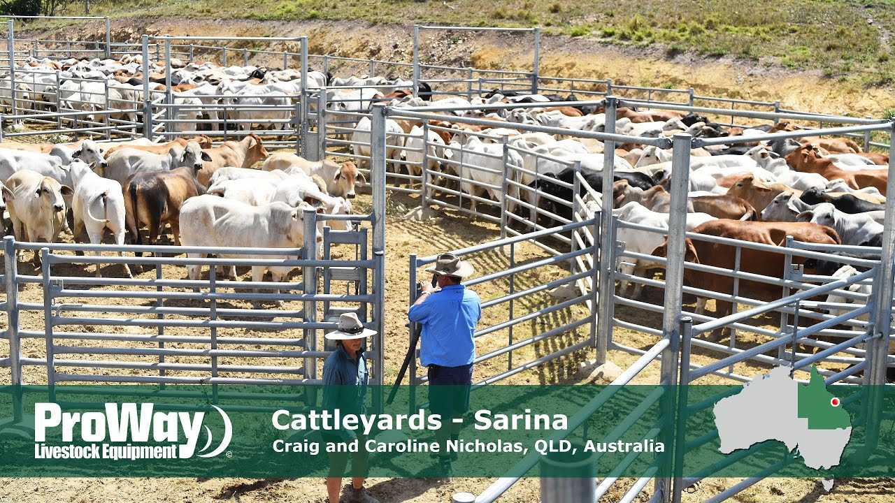 ProWay Cattleyards Sarina QLD Australia