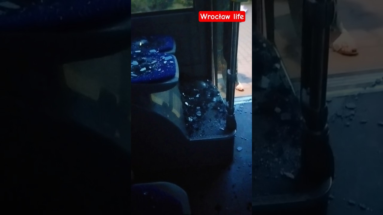 #accident #collision #victims #injuries #blood #bus #transport #road #route #yesterday #city #poland