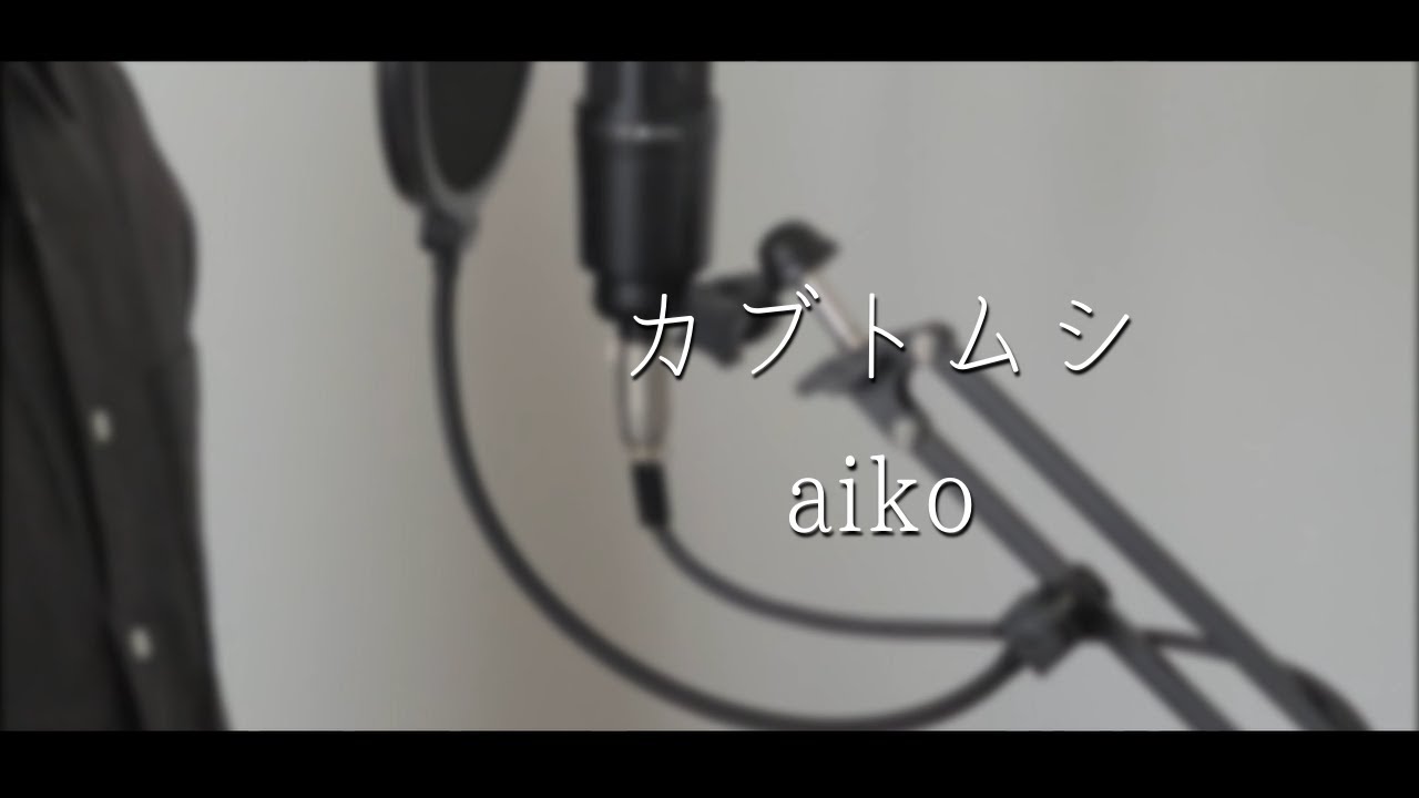 男が歌う！【カブトムシ / aiko】～歌ってみた～ 『covered by sonkan』