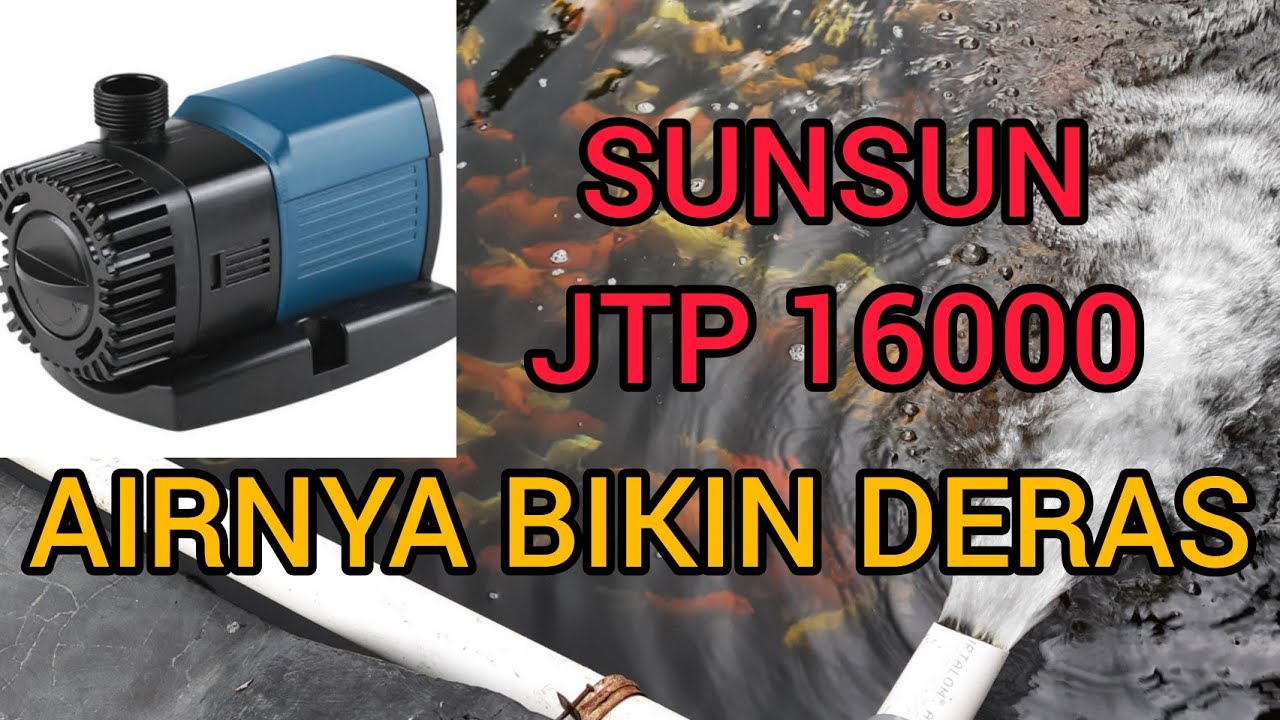 Review Mesin Pompa SUNSUN JTP 16000 | Bikin kolam tambah kinclong #koiindonesia