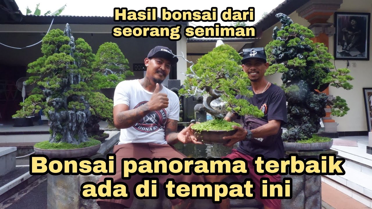 Koleksi bonsai seniman tattoo bali