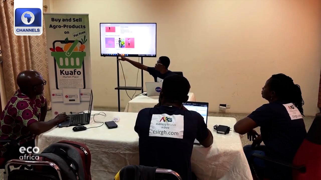 How An App Brings Farmers, Consumers Together In Ghana | EcoAfrica