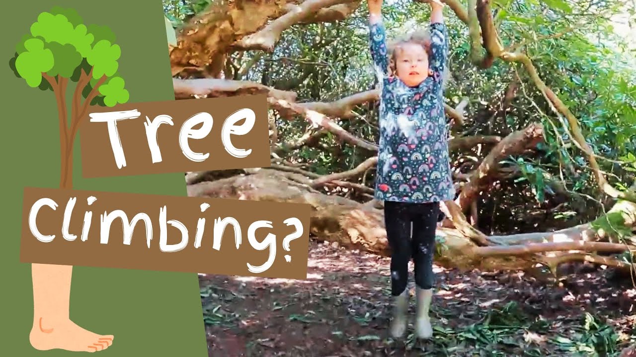 Can we Climb Trees at Forest School? - Balancing the Risks and Benefits of Forest School Activities