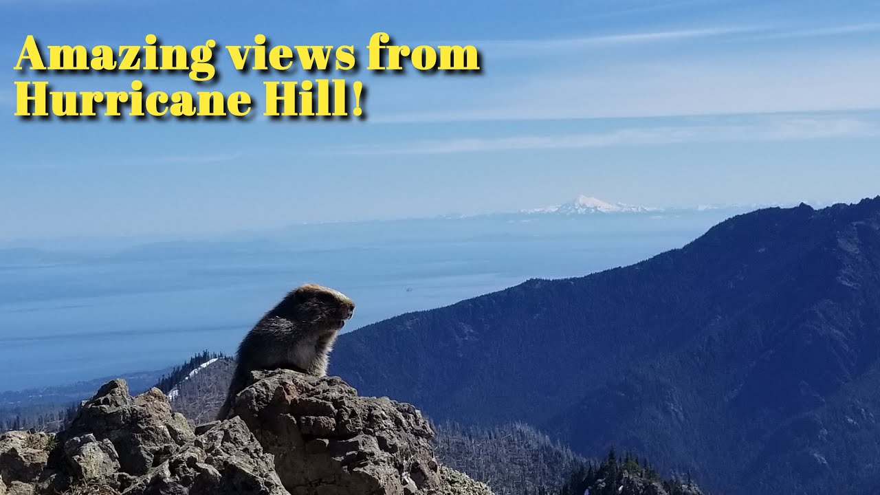 Hurricane Ridge hike / Olympic National Park