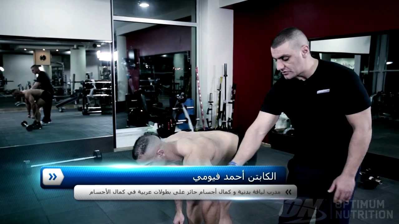ظهر انحناء سحب بار - سبورتر Sporter.com