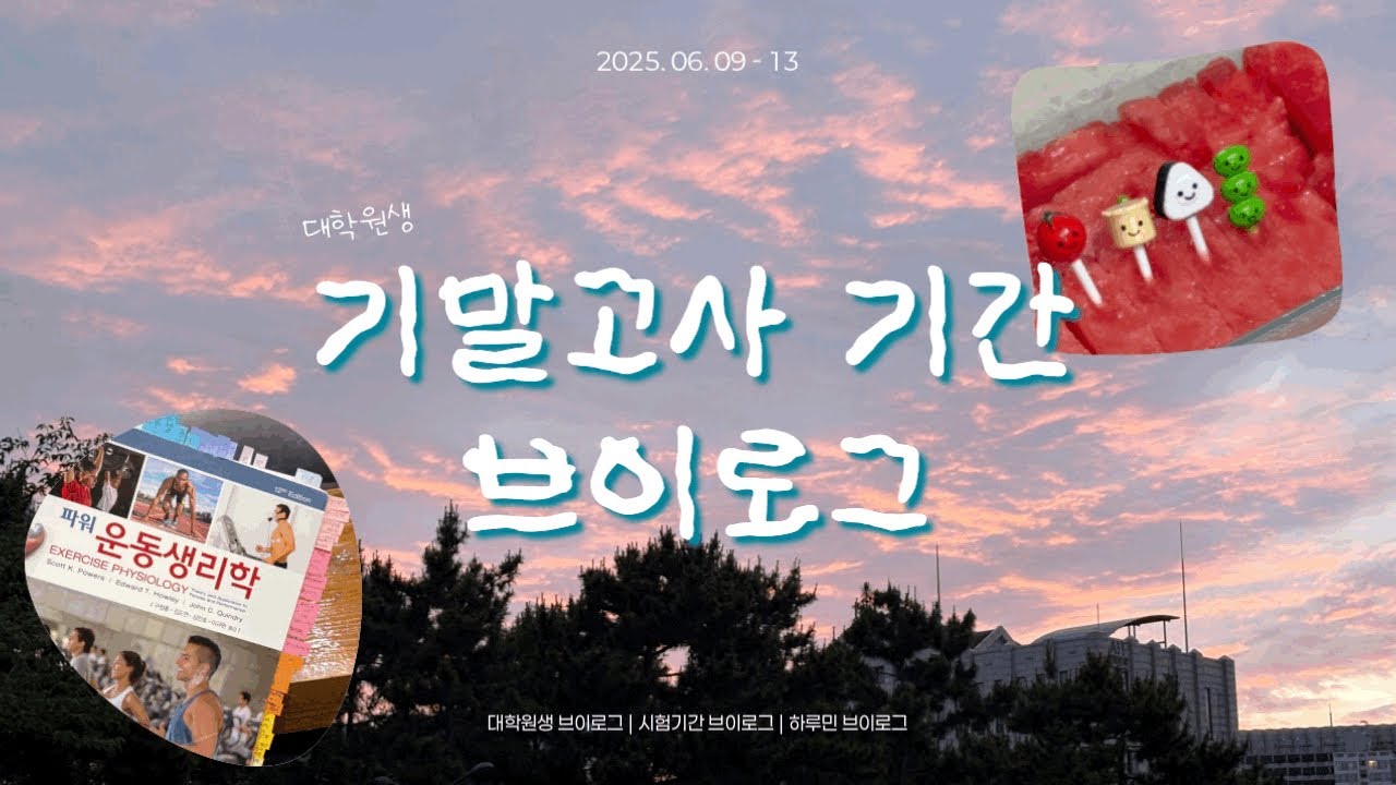 [vlog] 다 종강하고 낋여온 기말고사 시험기간 브이로그📝 | 대학원생 브이로그 | 일상 브이로그