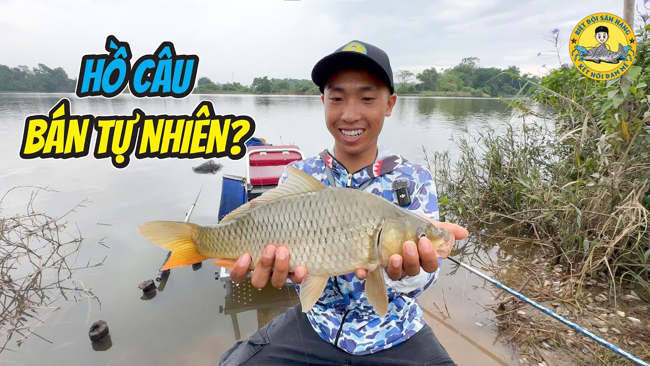 Câu Cá Mùa Lũ ở Hồ Câu Bán Tự Nhiên?