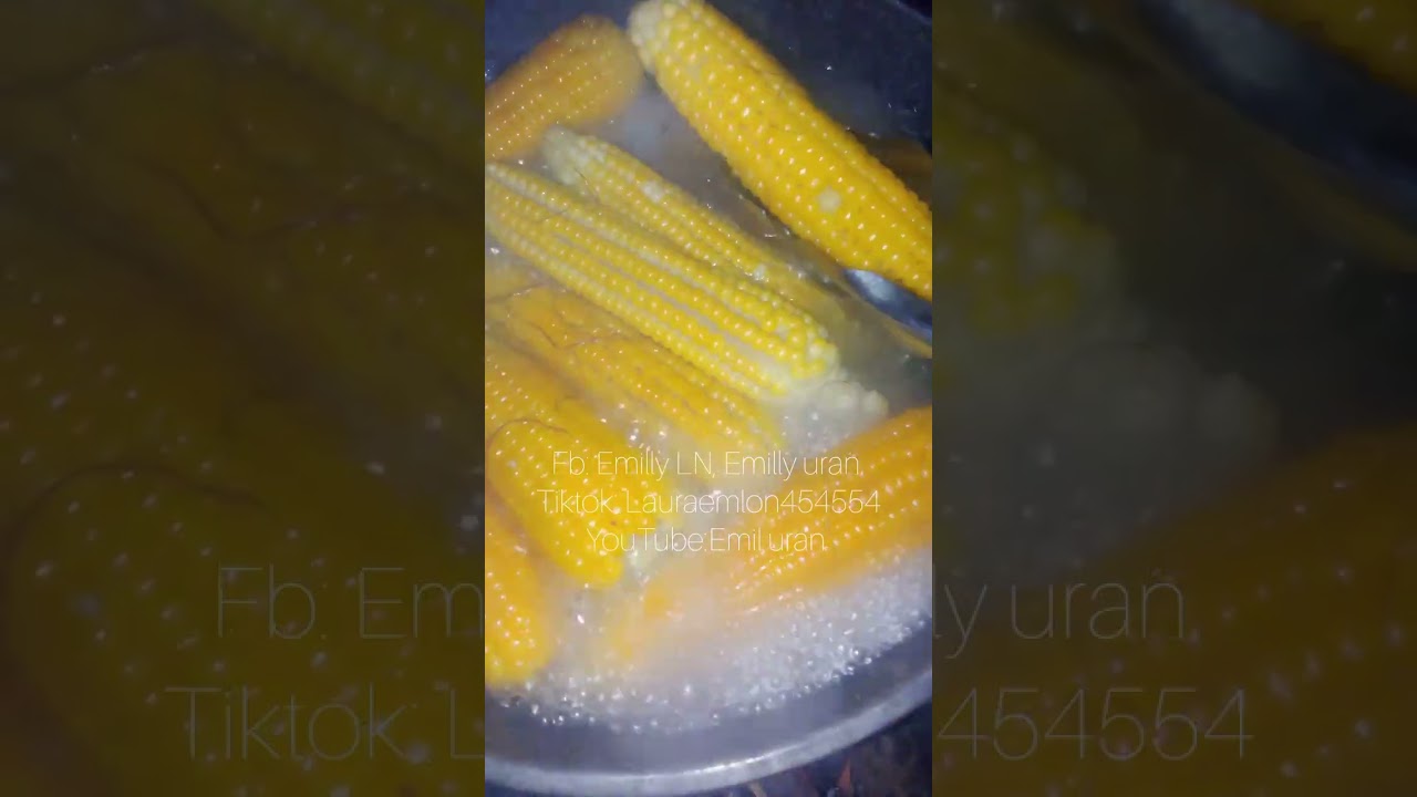 Rebus jagung muda 🌽🌽🌽