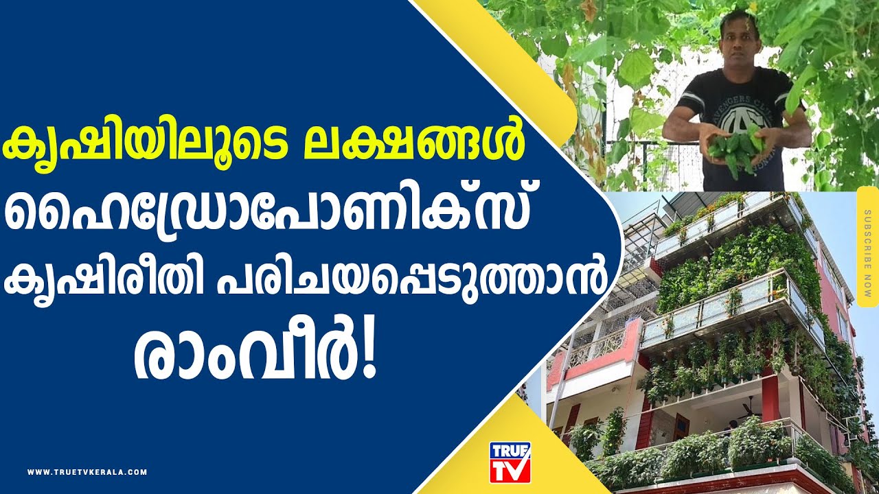 ഹൈഡ്രോപോണിക്സ് കൃഷിരീതിയിലൂടെ സമ്പാദിക്കുന്നത് ലക്ഷങ്ങൾ | Ramveer Singh | hydroponics farming