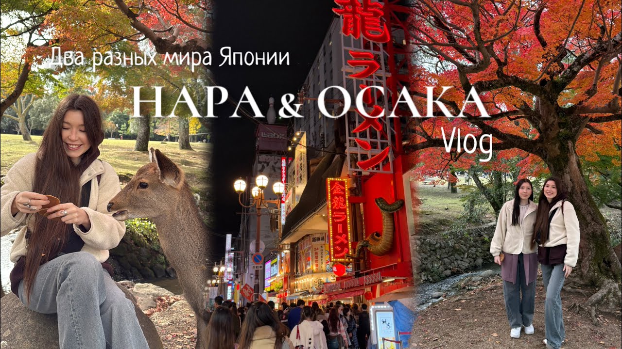 ВЛОГ 3 часть: Нара и Осака | от священных оленей до неоновых улиц