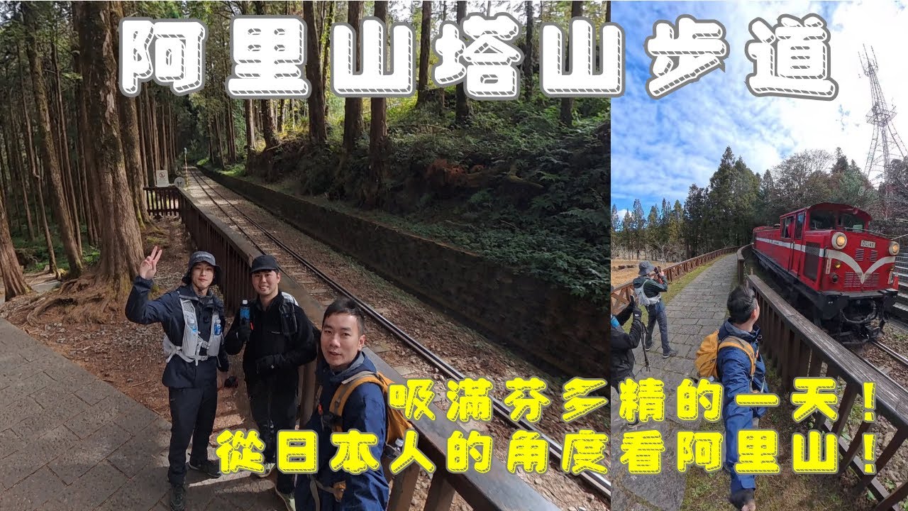 你有過從山的另一邊俯看阿里山森林園區嗎 ｜ 跟日本人一起朗讀日治時期的鐵道歷史 ｜ 阿里山塔山步道
