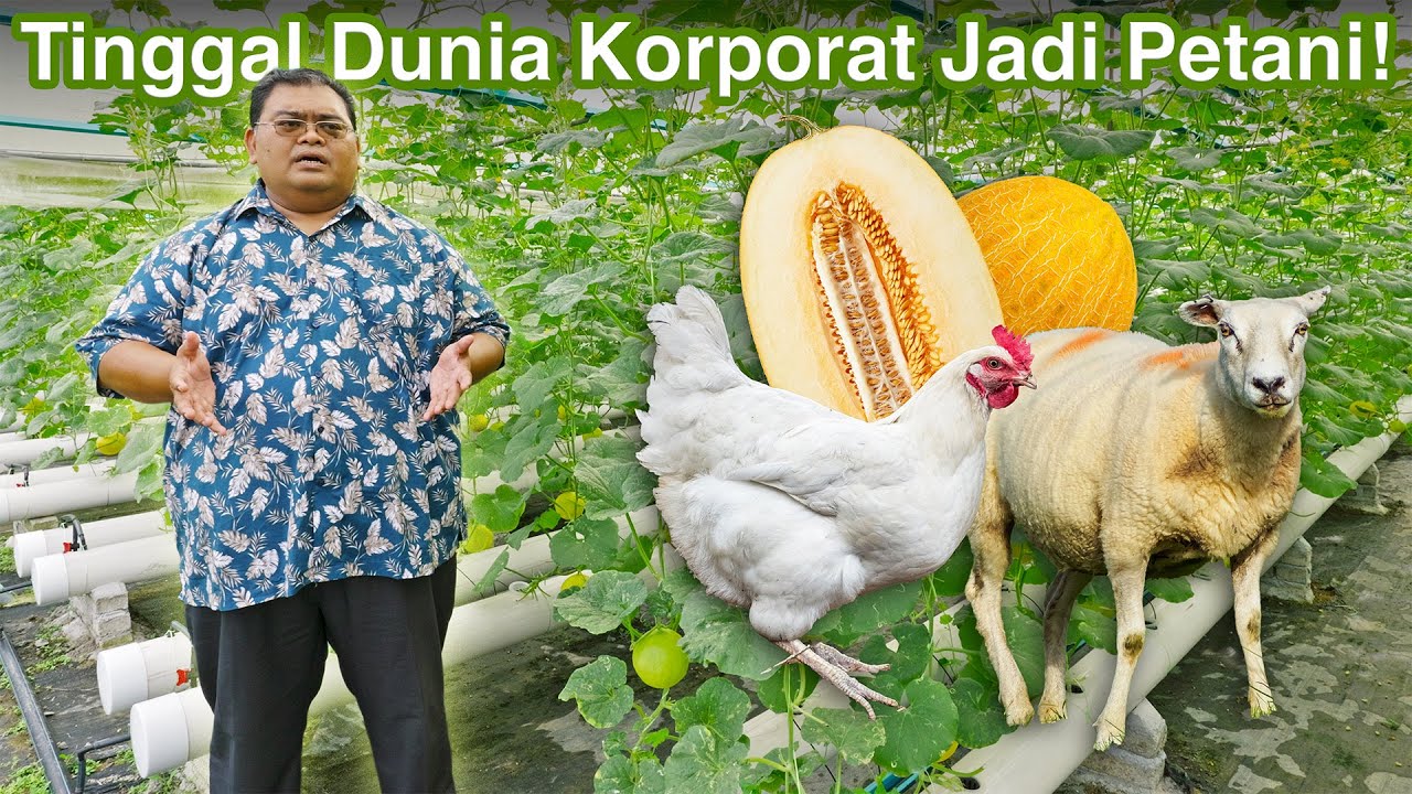 Ladang Ternakan Milik Coach Bahar Macam Mini Zoo | D&rsquo;Impian Agro Farm
