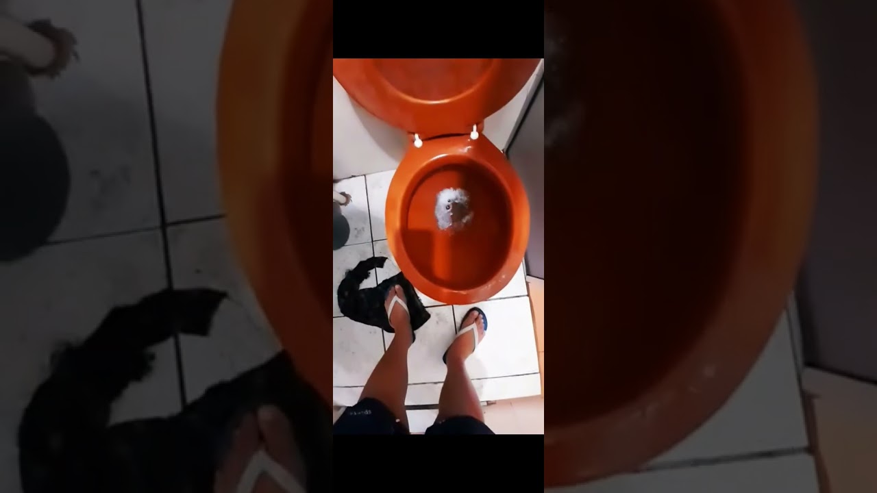 vaso sanit&aacute;rio Deca maraj&oacute; conveiconal