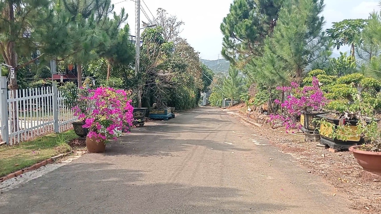 Bảo Lộc có 2 lô Biệt Thự Sân Vườn Tuyệt đẹp, ql20 vào 200m.