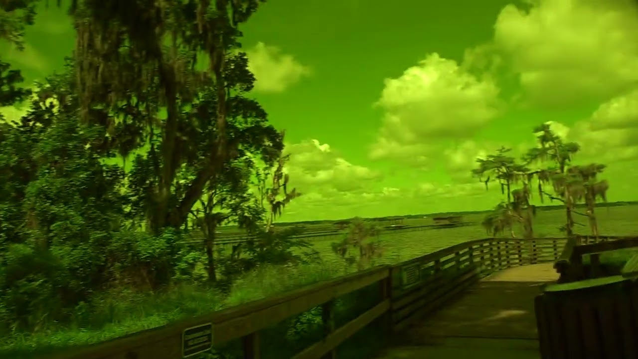 Alpine Groves Park in Switzerland, Florida