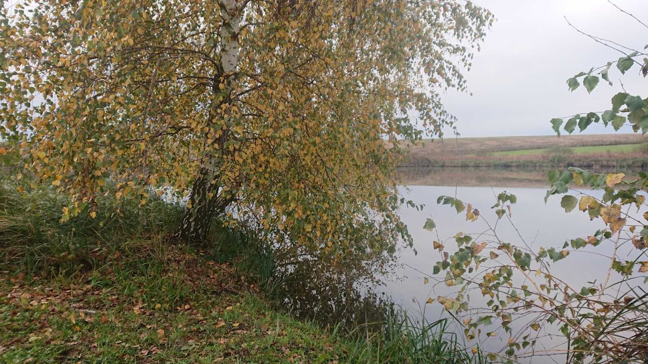 Пів дня ловив на поплавок ...