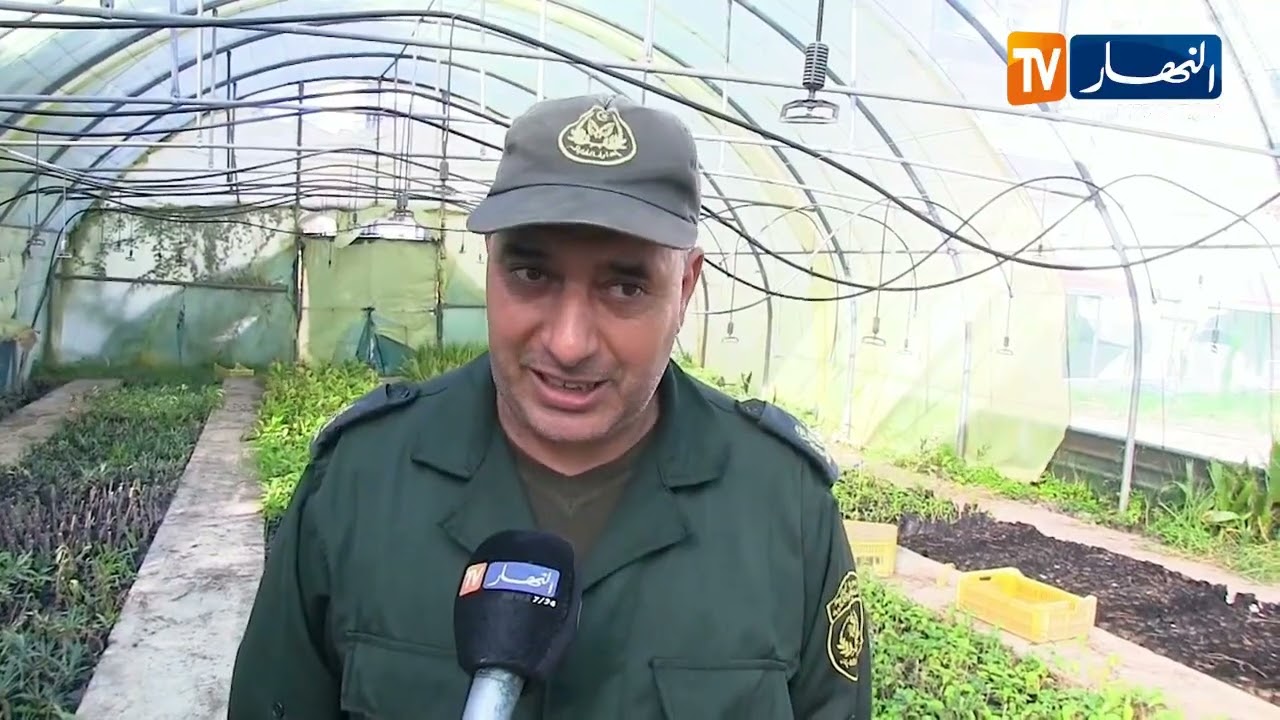 جيجل / مشتلة كيسير بالعوانة  ..  حلقة هامة في تحقيق حملة التشجير