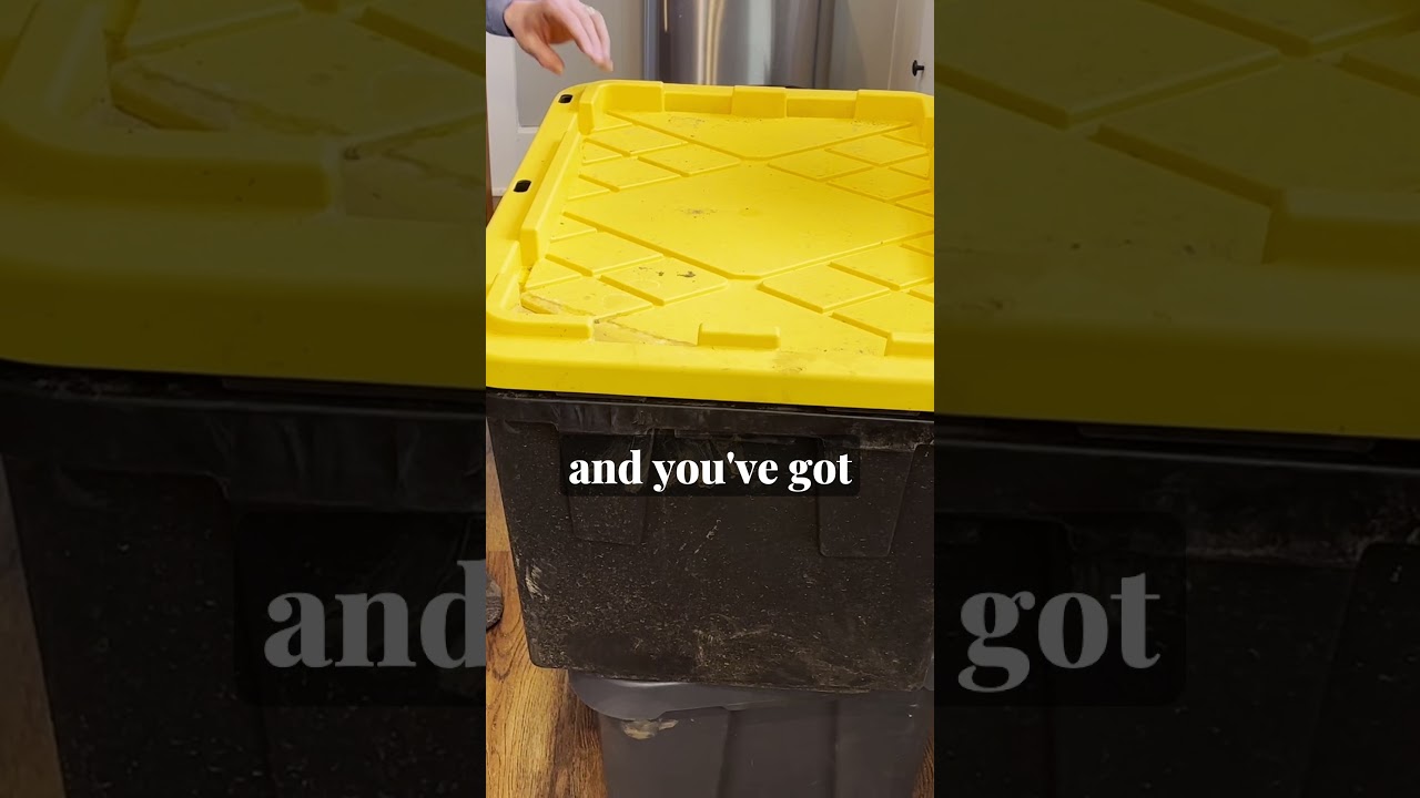 3 Worm Bin Sizes for Different Gardeners