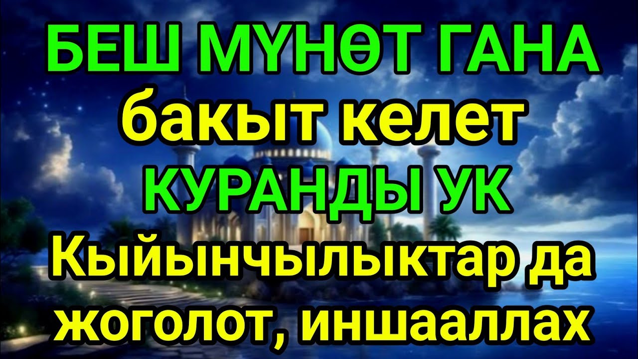 Бар болгону 5 мүнөт Куран менен: тынчтык, бактылуулук келет, кыйынчылыктар жоголот, иншааллах