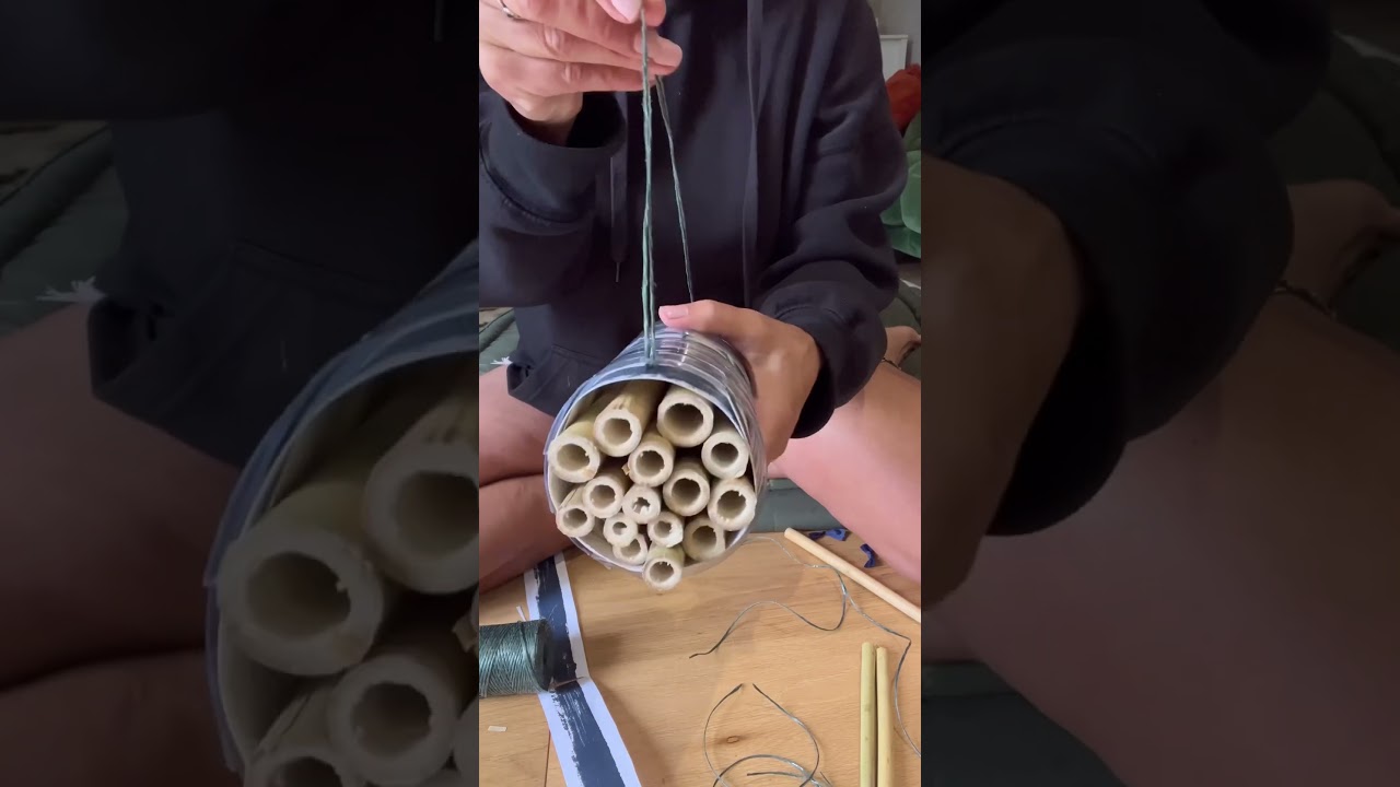 🐝🐞🦋 PART 2 How I made Bee Hotel  #beehotel #shorts