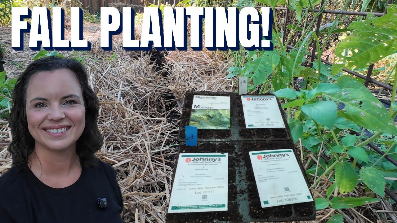 Late Summer Planting in Missouri: What to Grow Now for Fall & Winter Harvests