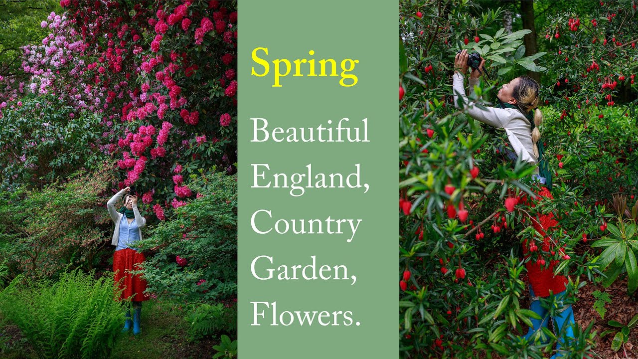 Most popular English Country Garden flowers / Beautiful Scene of Spring /영국의 봄 / 아름다운 플라워와 가든 풍경