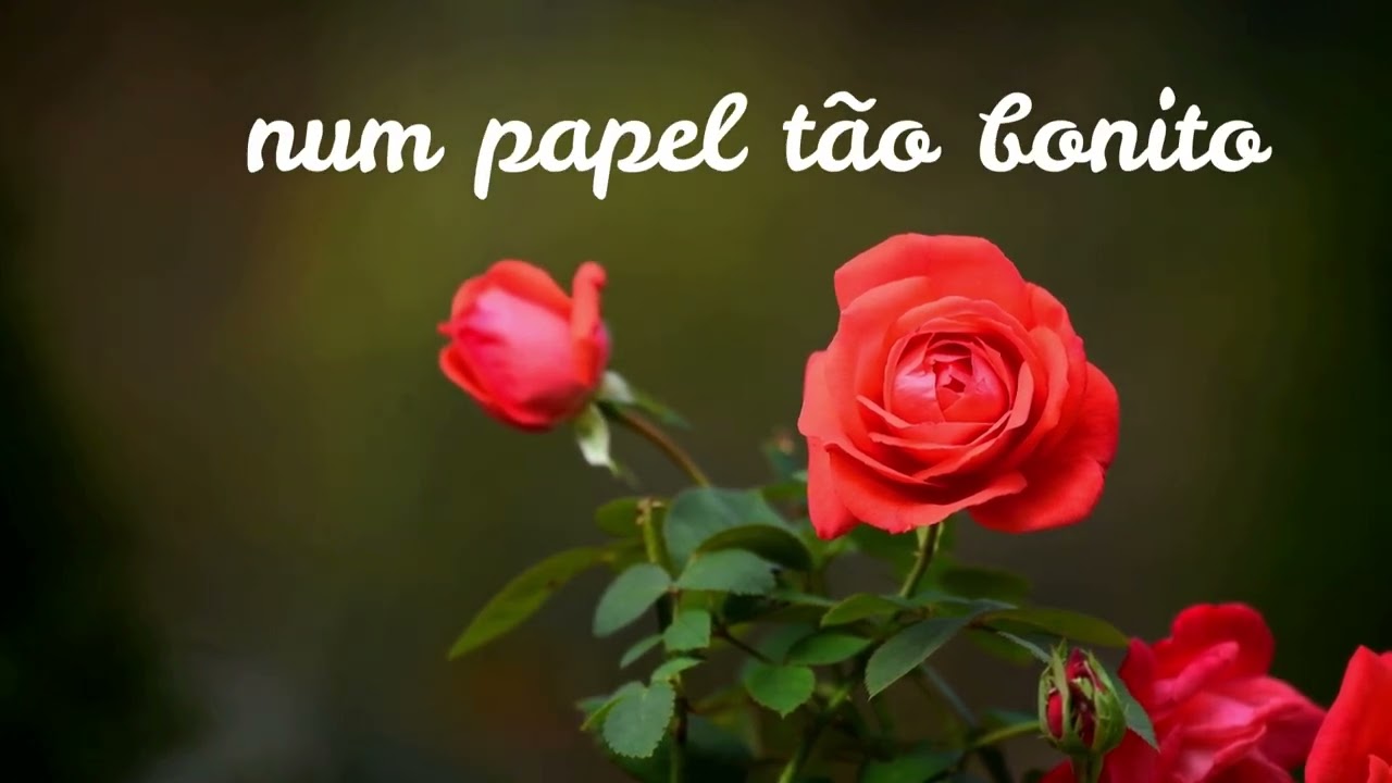 Poema 