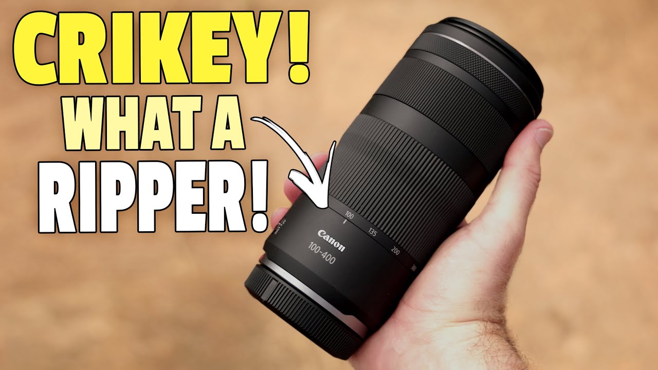 Обзор объектива Canon RF 100-400mm для съемки птиц и дикой природы