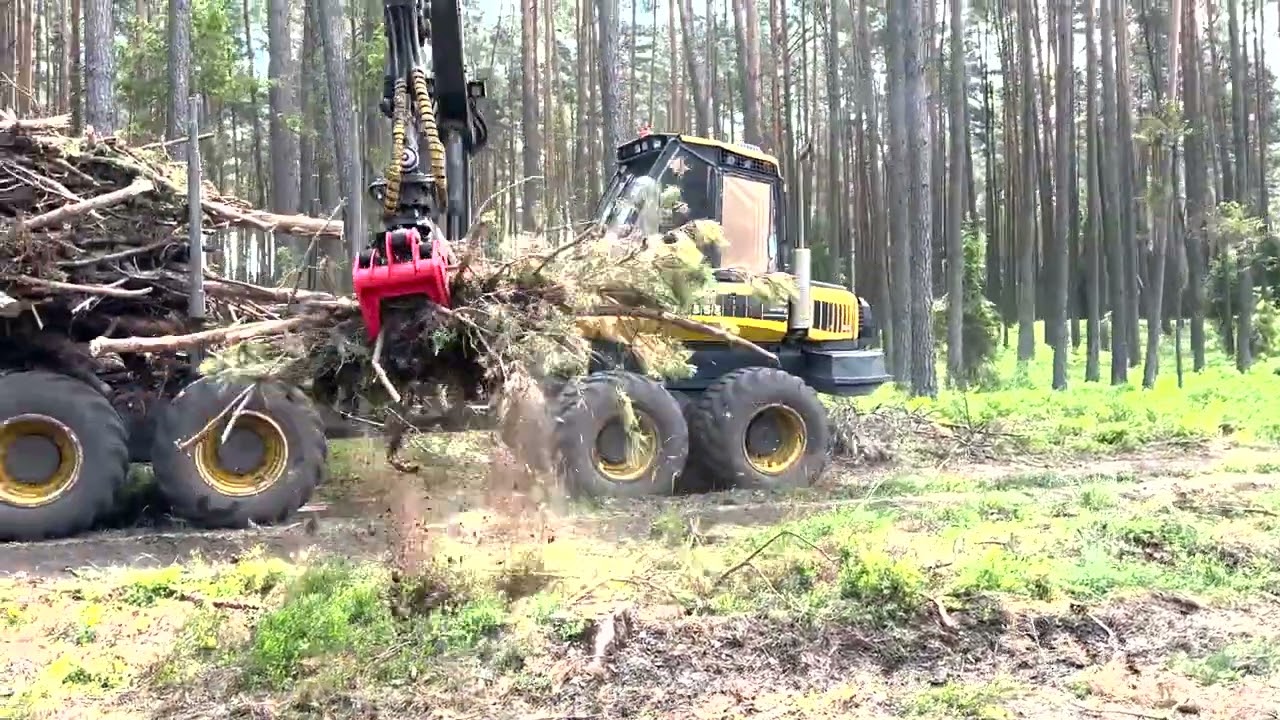 Chwytak leśny do biomasy