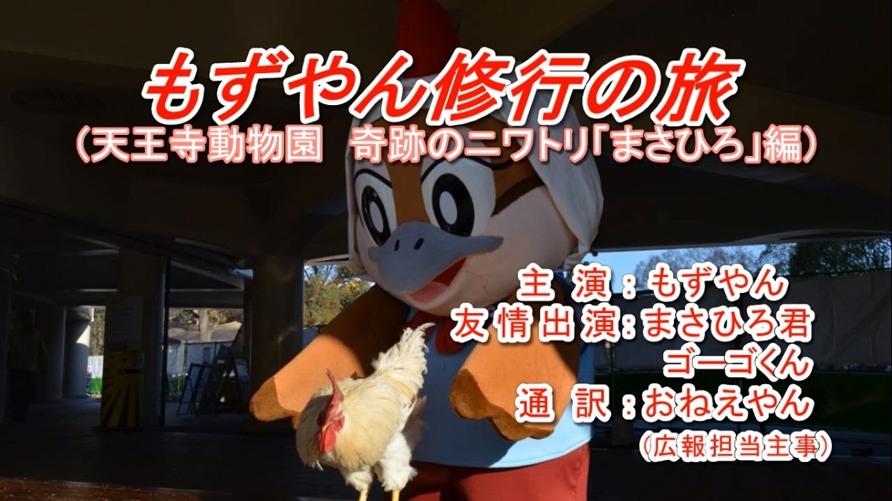 もずやん修行の旅（天王寺動物園 奇跡のニワトリ「まさひろ」編）
