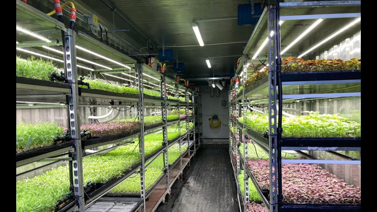 T8 LED Grow lights for Vertical Farming/Growing Shelves