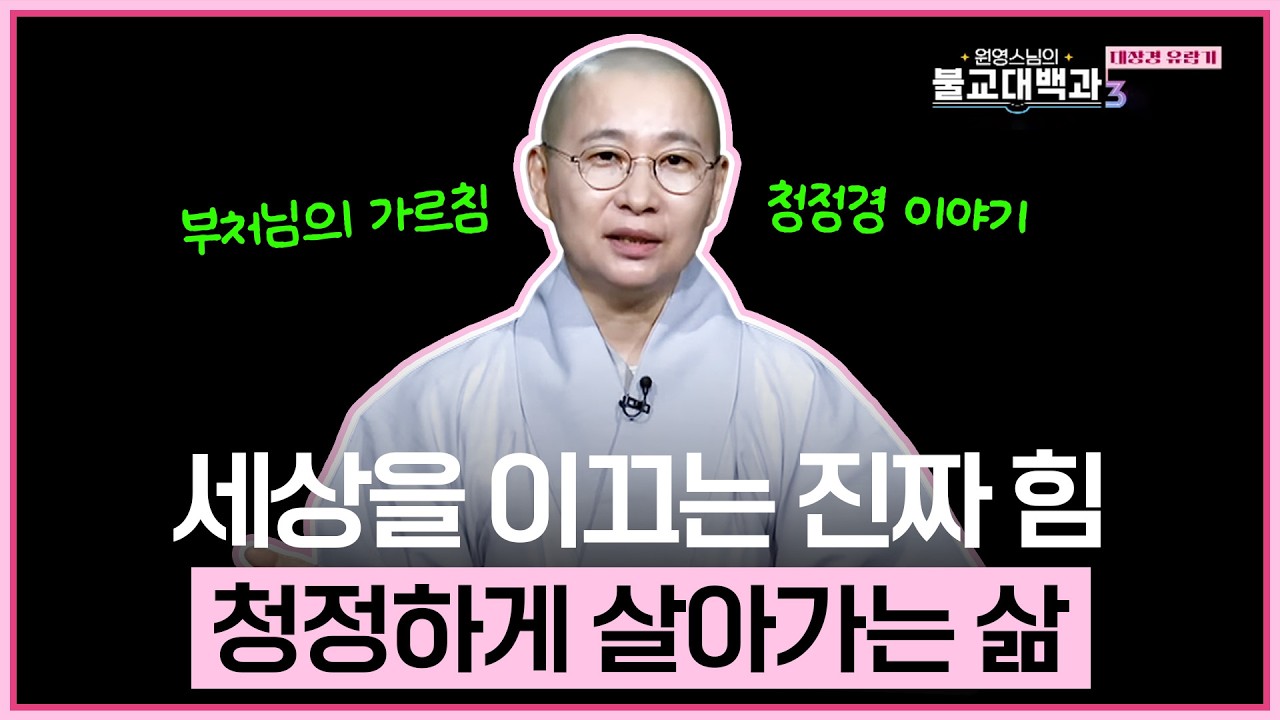 [#원영스님] 18. 걱정과 근심을 덜어내는 가르침 (장아함경-청정경) | 불교대백과3  #12연기 #4념처 #8해탈