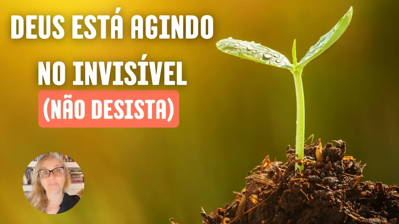 NÃO DESISTA: A Parábola que Ensina a Confiar Mesmo Quando Nada Muda