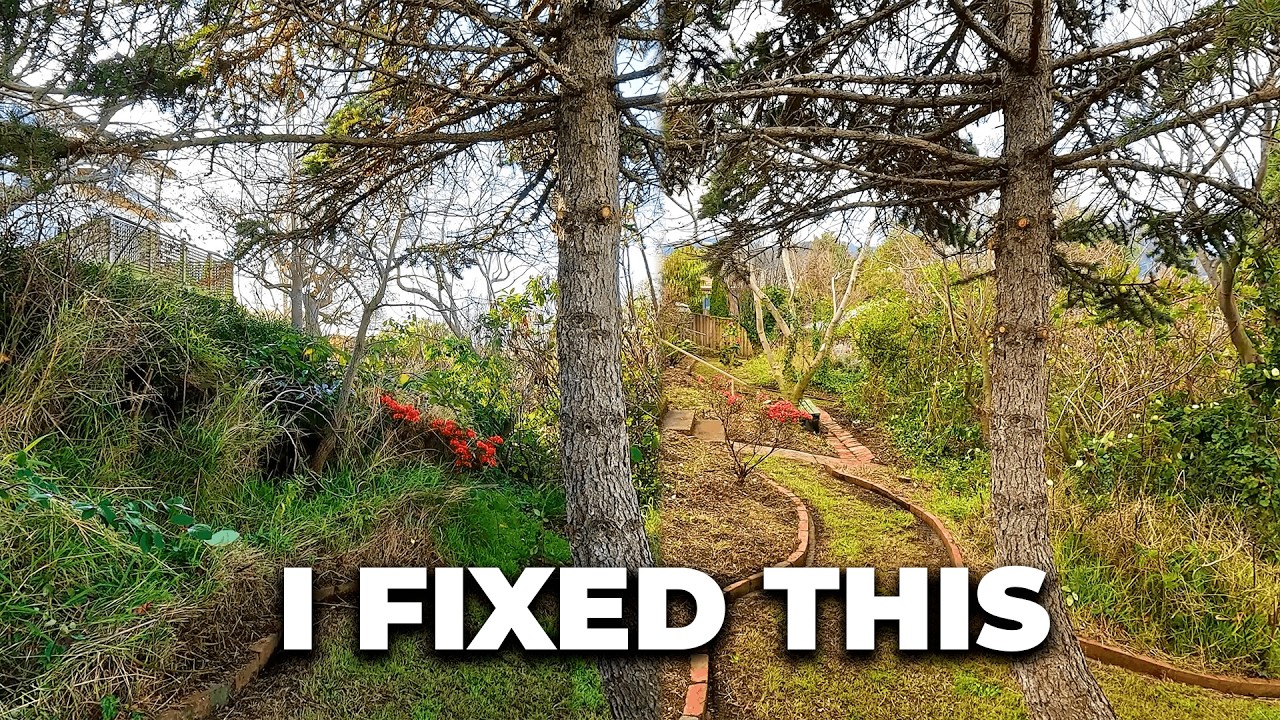 From Crazy Overgrown to Totally Tidy