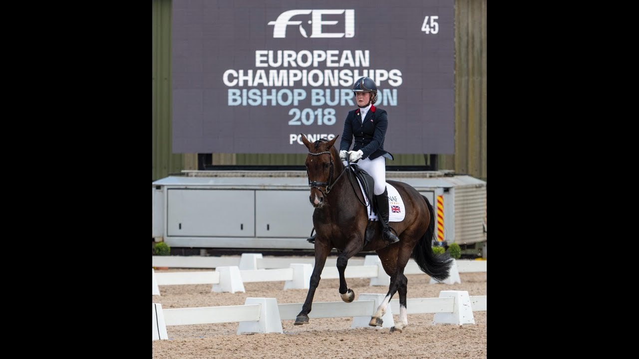 International FEI pony by Don Schufro