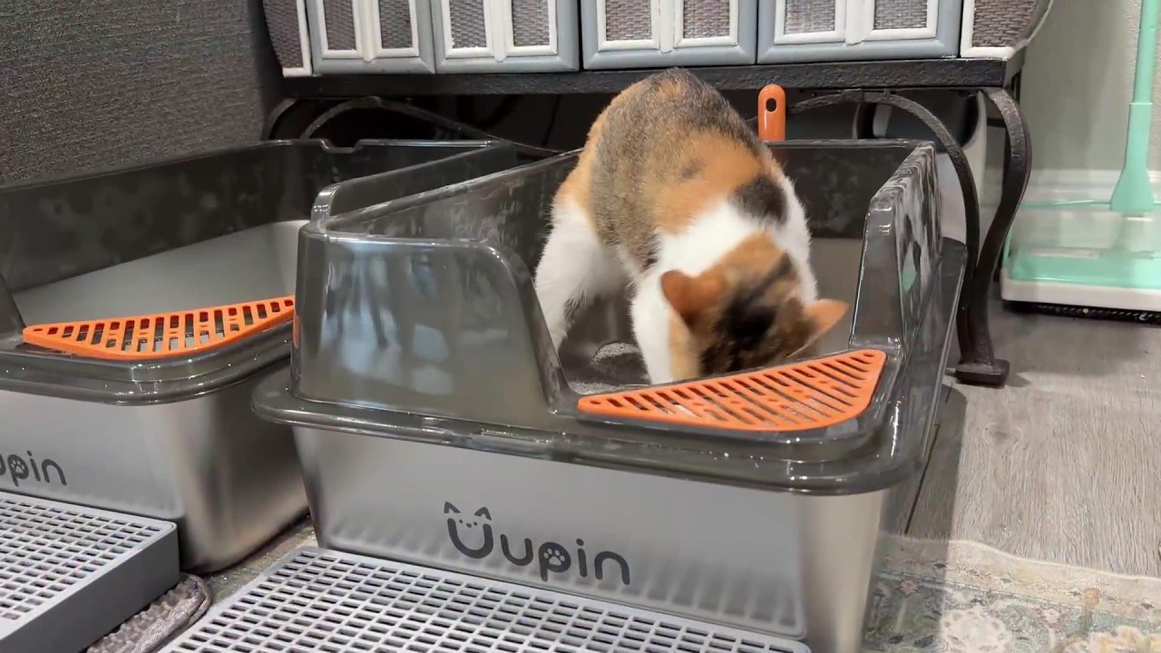 Uupin 2 Pack Stainless Steel Litter Box - XL Extra Large Metal Cat Litter Box with Scoop & Pedal
