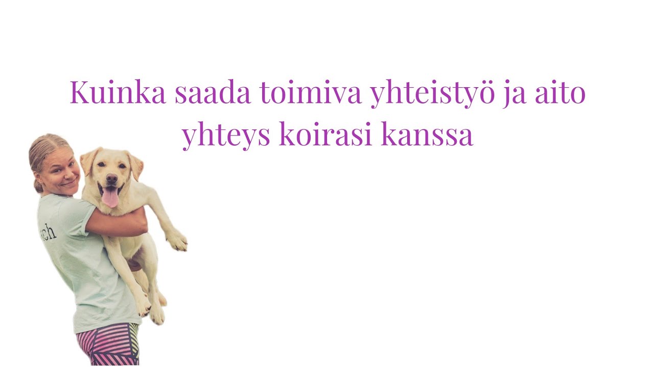 Webinaari: Kuinka saada yhteys ja yhteistyö toimimaan koirasi kanssa | Koiran mielenhallinta