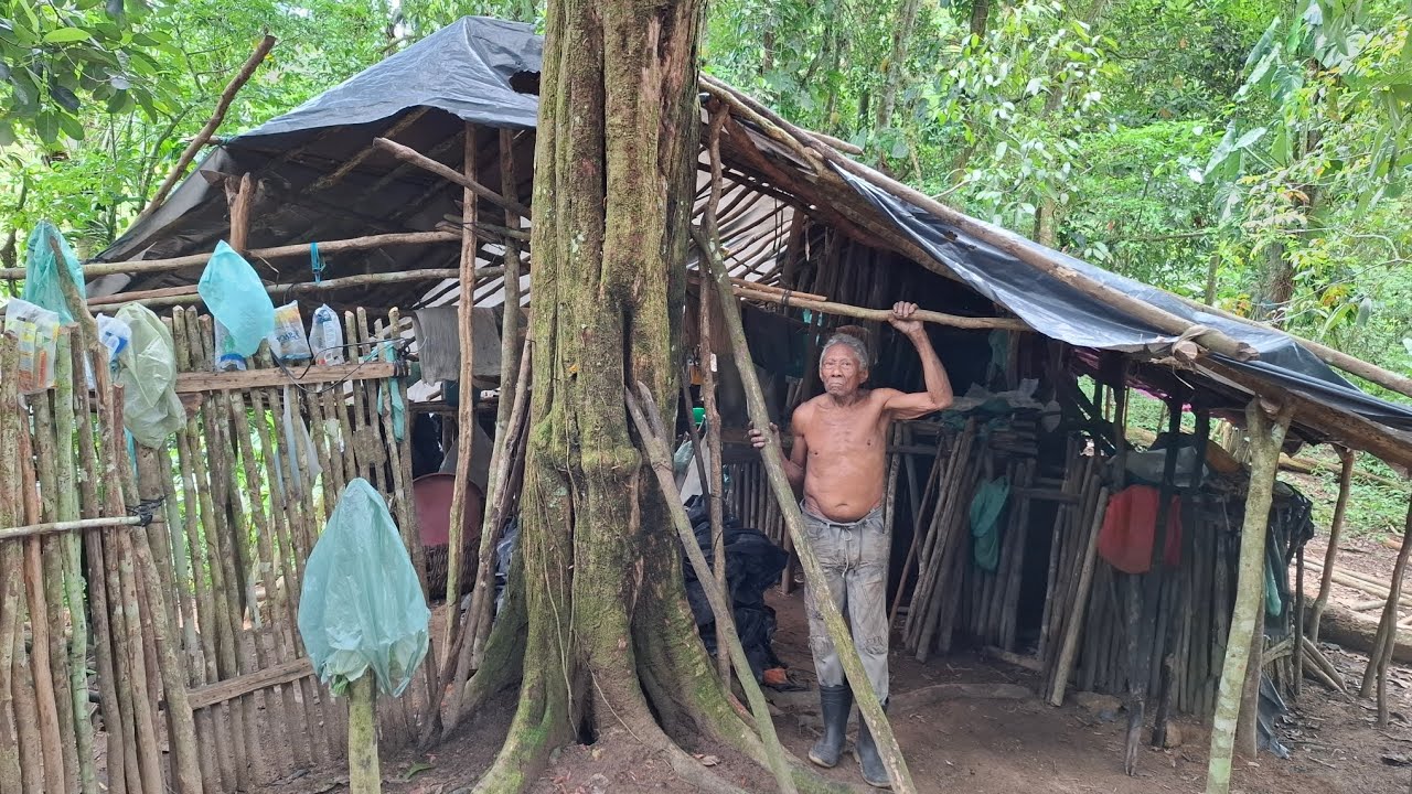 AOS 84 ANOS ELE VIVE ISOLADO E SEM ENERGIA ELÉTRICA NO MEIO DA MATA