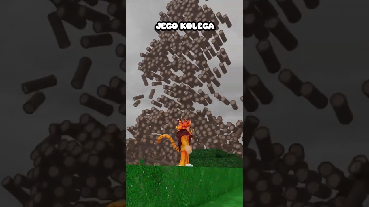 DW&Oacute;CH HAKER&Oacute;W W 99 NOCY W LESIE! #roblox #99nightintheforest