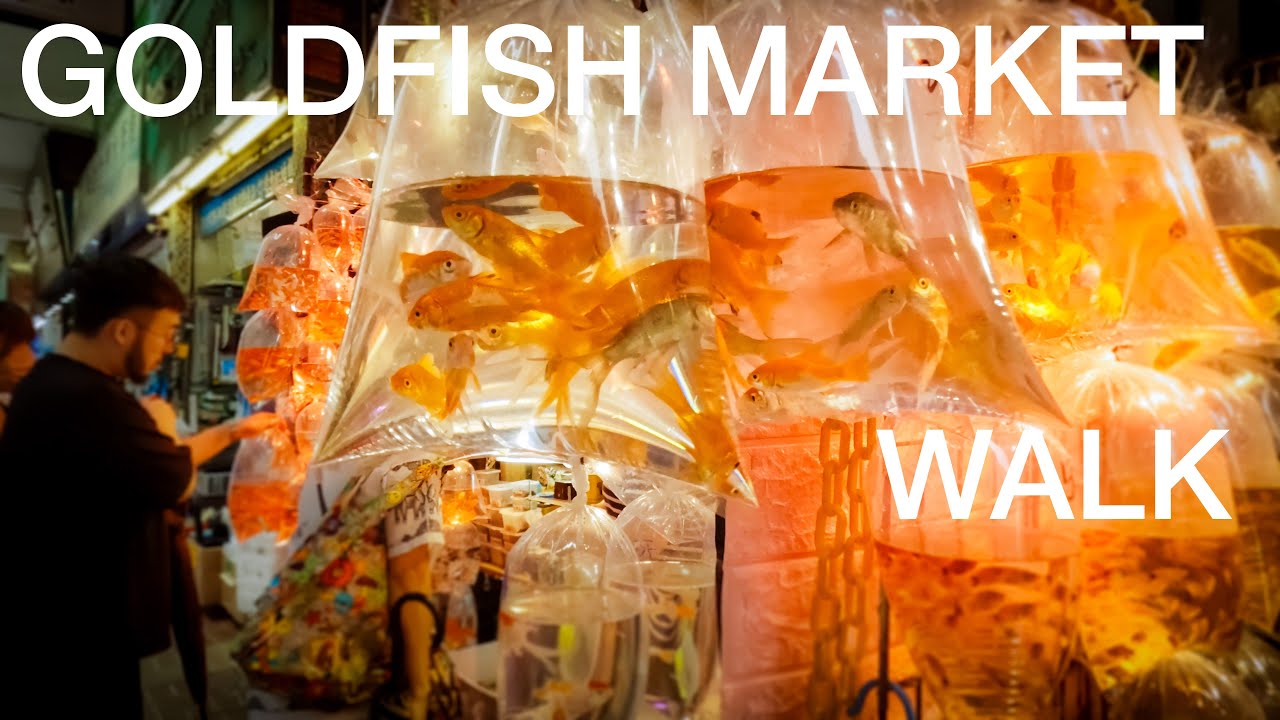 Hong Kong's Goldfish Market!