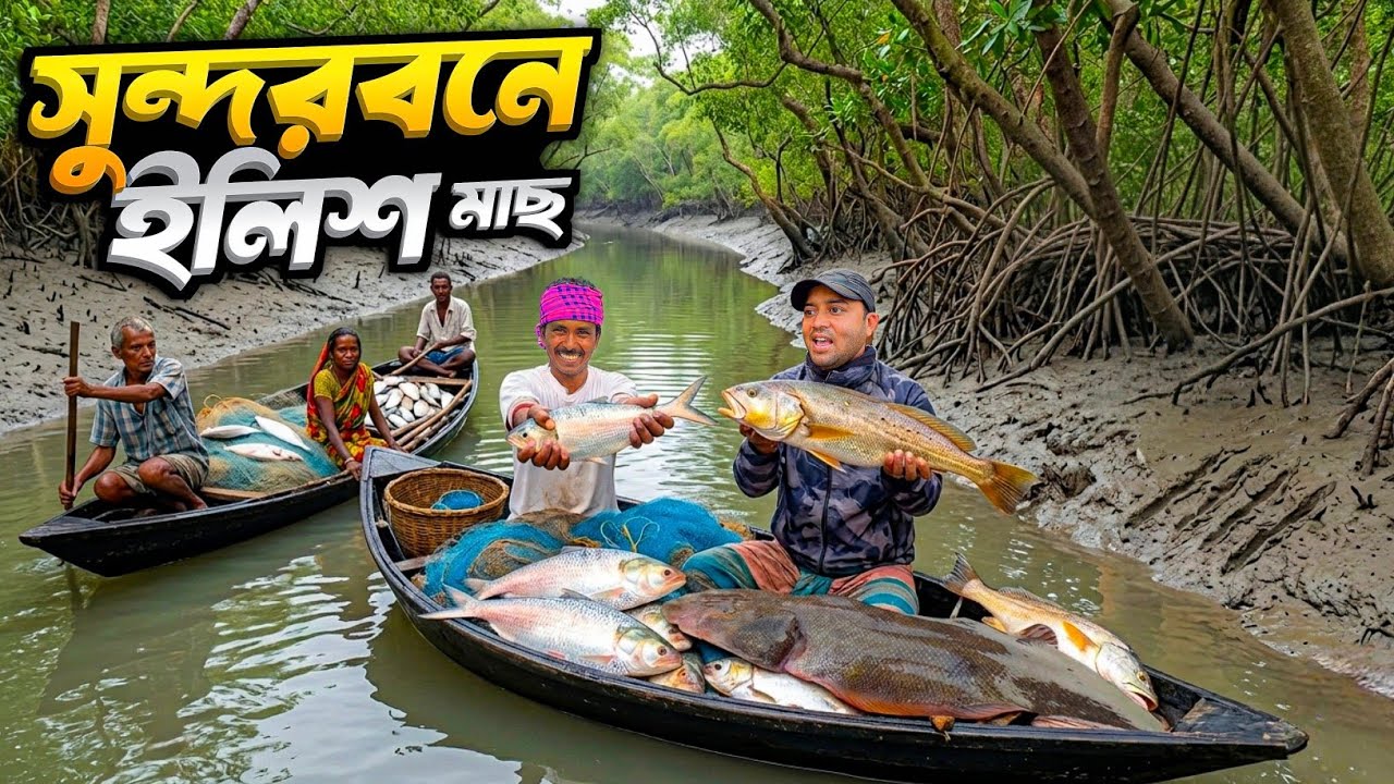সুন্দরবনে বাঘের ডেরায় ইলিশের খোঁজ | Sundarban Night Fishing | Hilsha Fish🫣