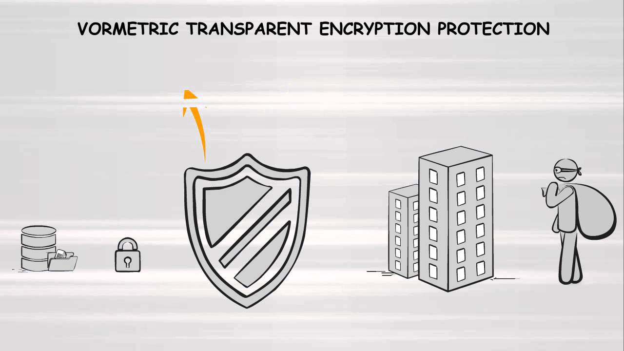 Demo: Secure Your AWS Instances with Vormetric Transparent Encryption