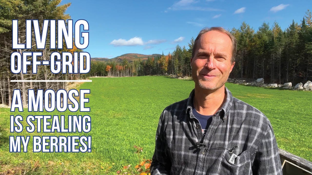 OFF-GRID SERIES EPISODE 7 | Moose Storytime & Converting Forest to Field
