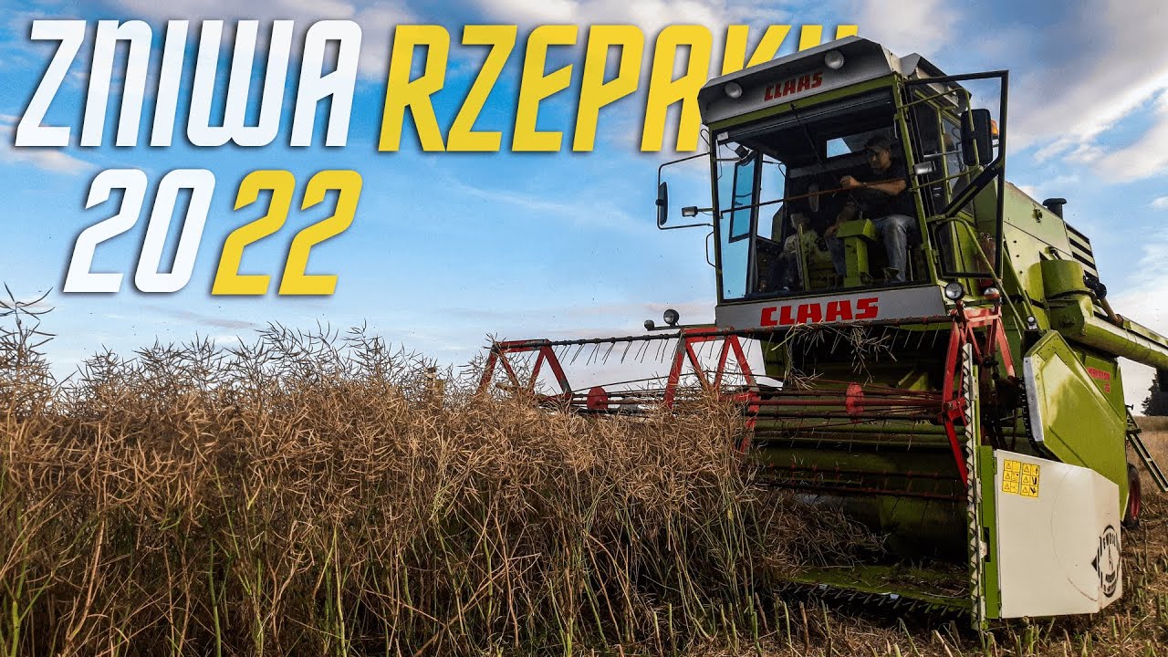 RZEPAK POD KOSE 🔥CLAAS MERCATOR W AKCJI🔥 GR WRÓBEL
