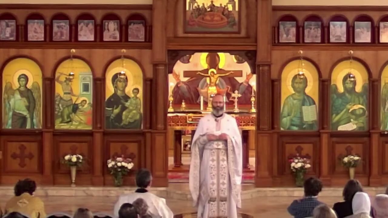 The Weed of Pride -  Luke 18:10-14, Romans 8:28-39 - by Fr. Matthew (February 1, 2026)