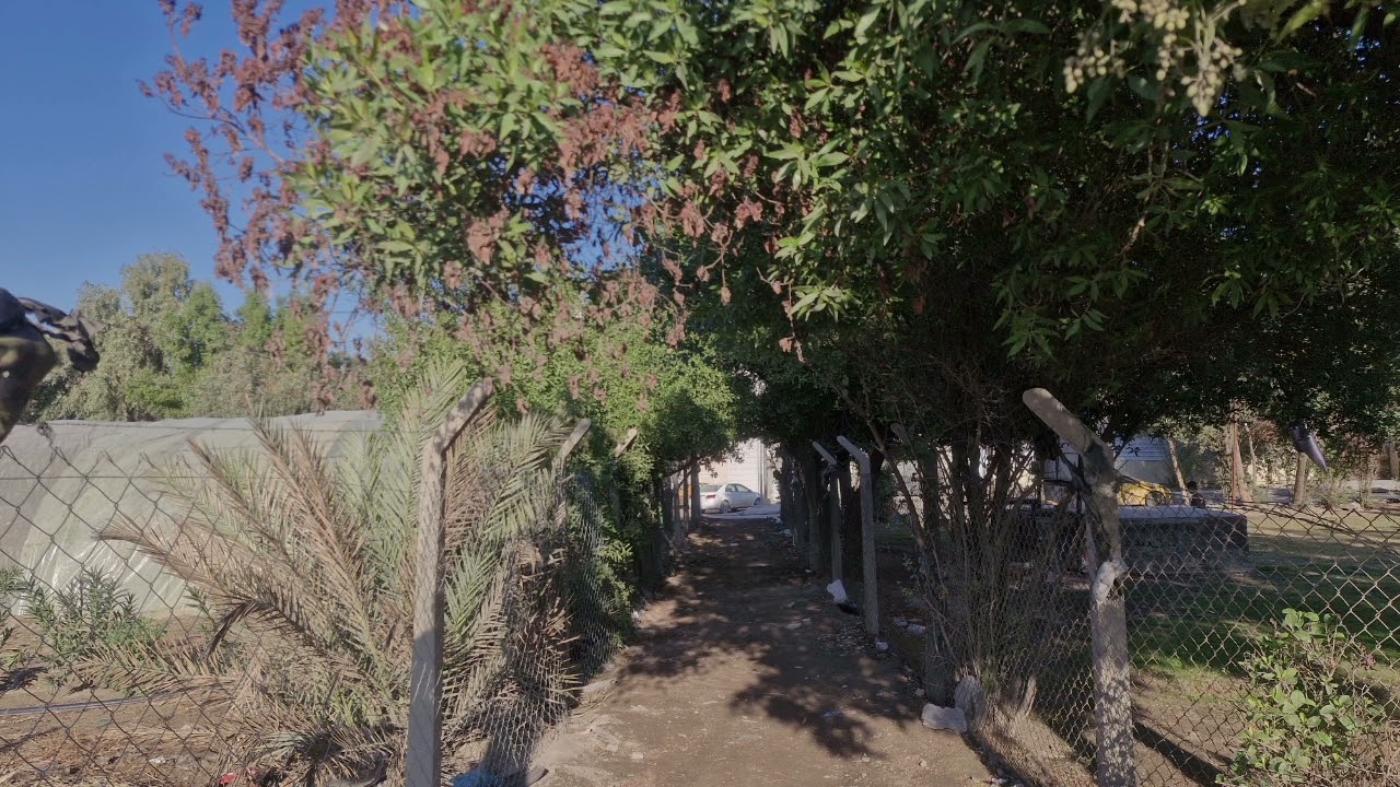 Found the light i long for