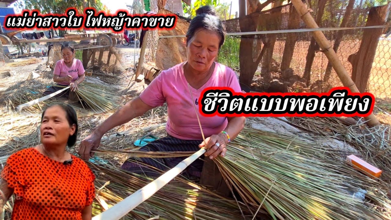 แม่หย่า #สาวใบ  13 กุมภาพันธ์ ค.ศ. 2026